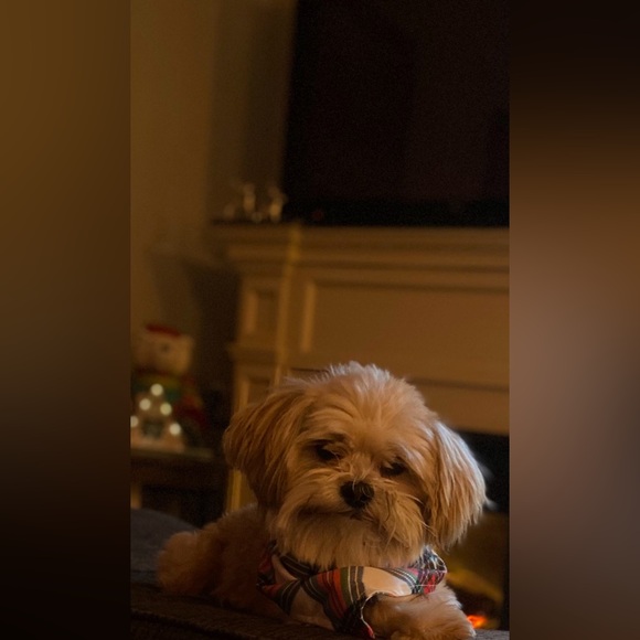 Host Appreciation! - Picture 5 of 7